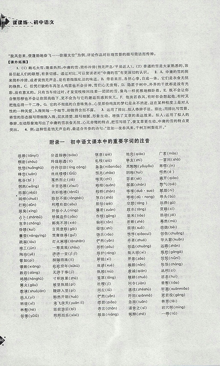 2018年苏教版课课练初中语文九年级下册参考答案 2018年苏教版课课练初中语文九年级下册参考答案