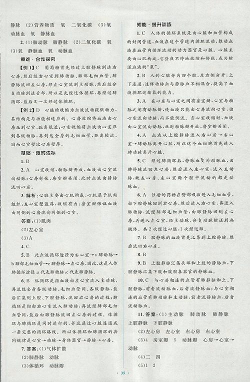 2018年人教版新课标初中同步学习目标与检测生物七年级下册答案