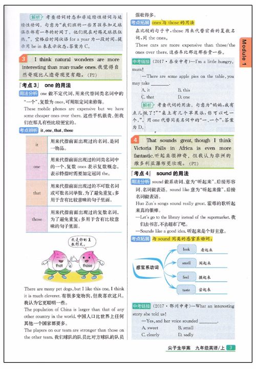 2019版尖子生学案新课标外研版英语九年级上册参考答案