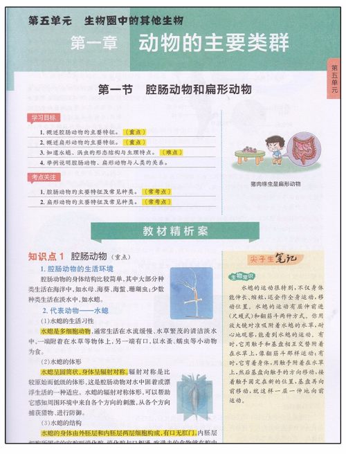 2019版新课标人教版尖子生学案八年级上册生物参考答案