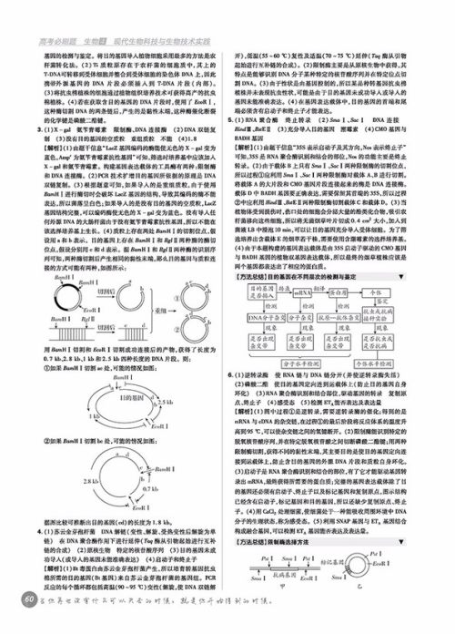 2019高考必刷题生物4现代生物科技与生物技术实践参考答案