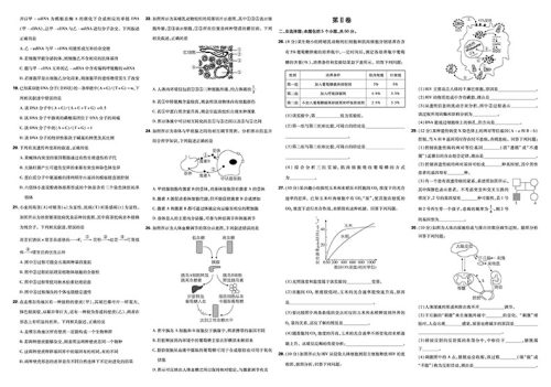 2019新课标全国卷高考必刷卷生物42套参考答案