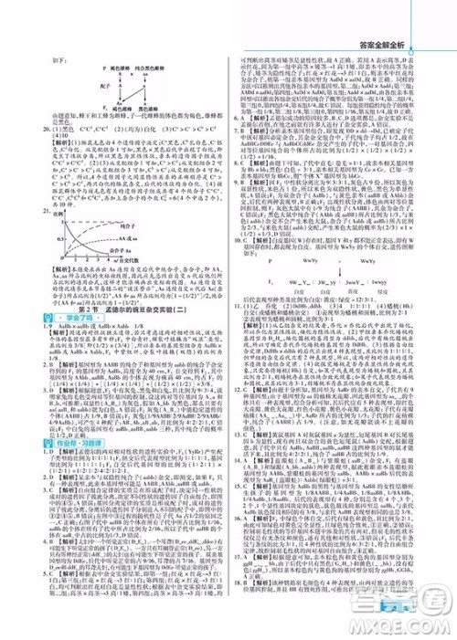 2019教材帮高中生物必修2人教版参考答案