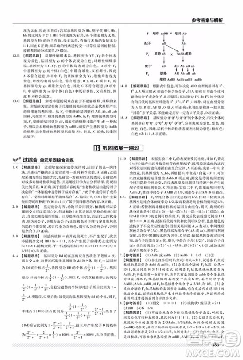 2019人教版一遍过高中生物必修2参考答案