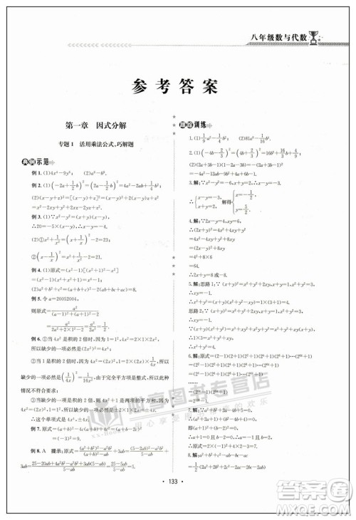 2018版启东培优微专题八年级数与代数参考答案