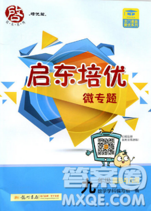 2018版启东培优微专题九年级图形与几何参考答案