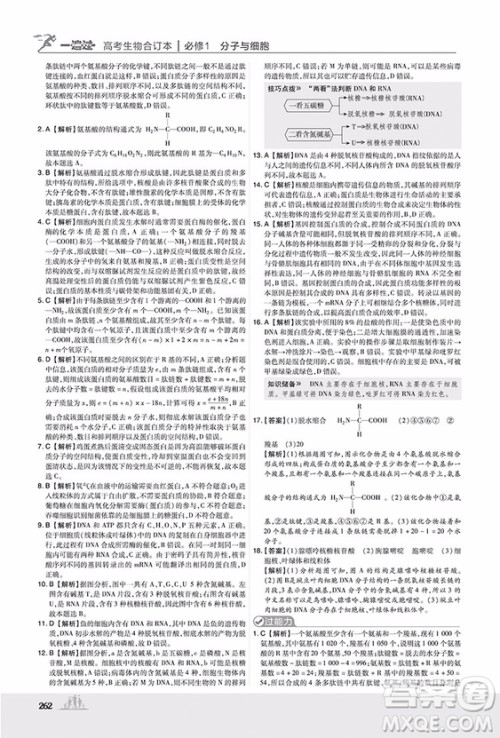 2019高考一遍过生物合订本参考答案 2019高考一遍过生物合订本参考答案