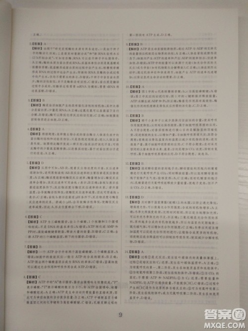爱学习刷题狗高考生物参考答案