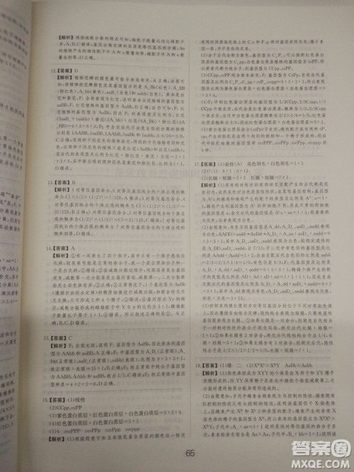 爱学习刷题狗高考生物参考答案 爱学习刷题狗高考生物参考答案