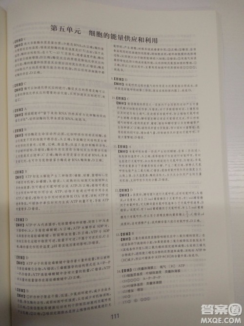爱学习刷题狗高考生物参考答案 爱学习刷题狗高考生物参考答案