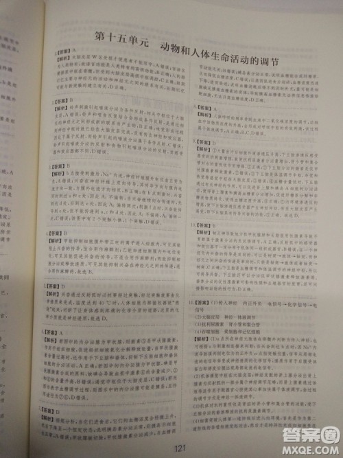 爱学习刷题狗高考生物参考答案