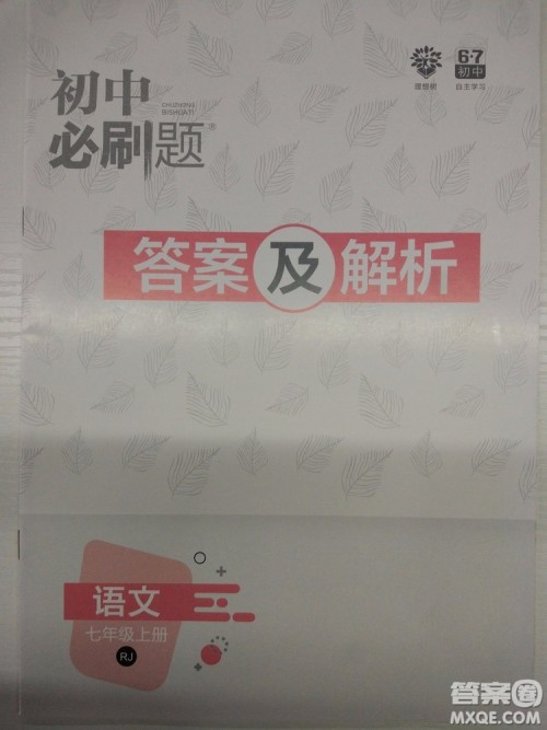2019新版初中必刷题人教版七年级上册语文参考答案