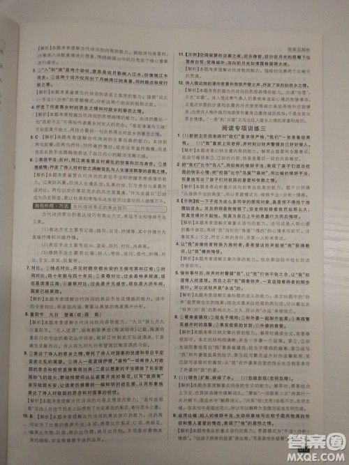 2019新版初中必刷题人教版七年级上册语文参考答案