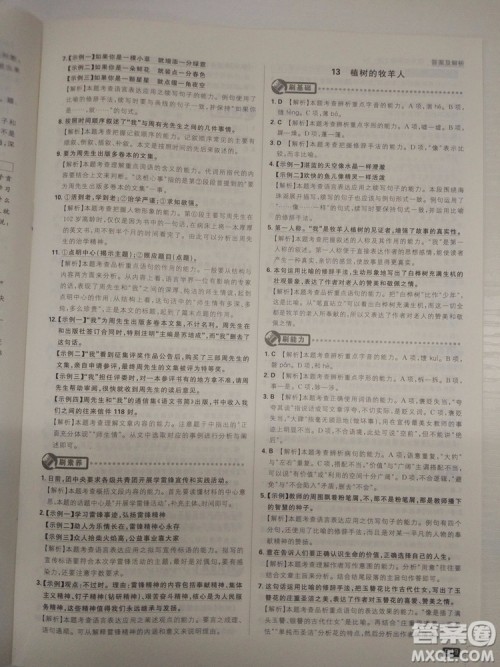 2019新版初中必刷题人教版七年级上册语文参考答案