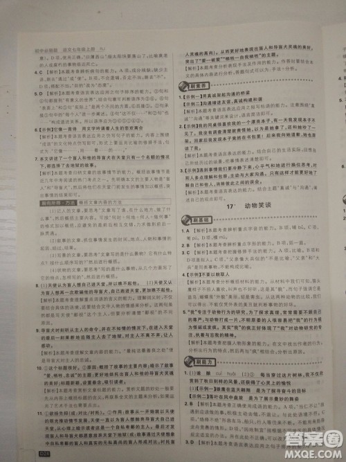 2019新版初中必刷题人教版七年级上册语文参考答案
