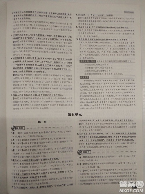 2019新版初中必刷题人教版七年级上册语文参考答案