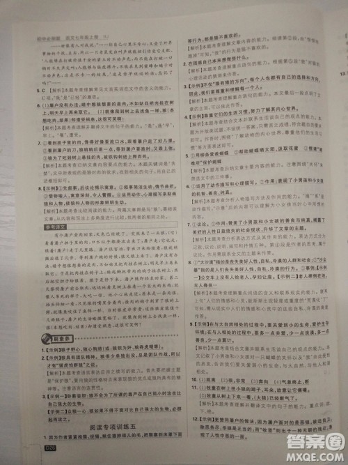 2019新版初中必刷题人教版七年级上册语文参考答案