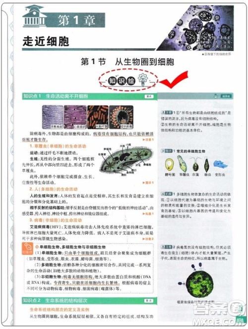 2019新版教材划重点高中生物高一必修1RJ人教版参考答案 2019新版教材划重点高中生物高一必修1RJ人教版参考答案