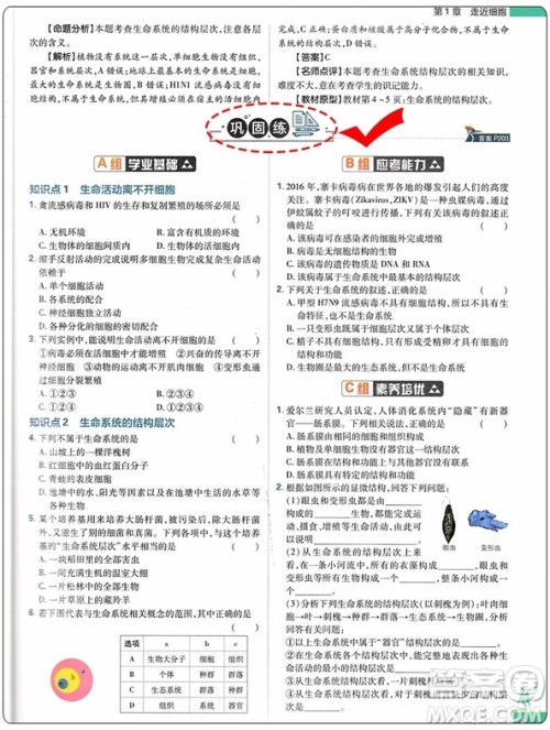 2019新版教材划重点高中生物高一必修1RJ人教版参考答案 2019新版教材划重点高中生物高一必修1RJ人教版参考答案