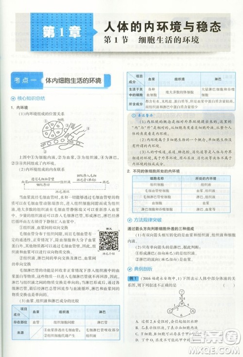 2019新版经纶学典考点解析高中生物必修3人教版RJ答案 2019新版经纶学典考点解析高中生物必修3人教版RJ答案