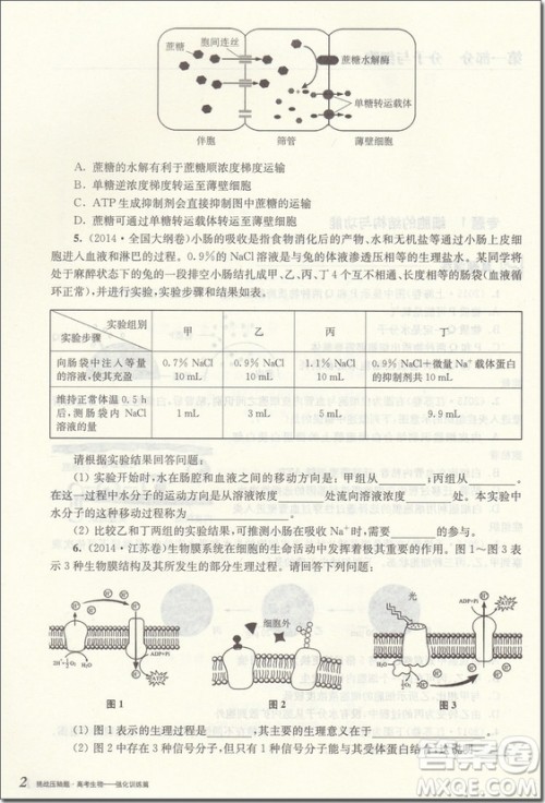 2018年高考生物挑战压轴题强化训练篇参考答案