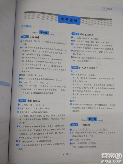 2018新版小学生语文分级阅读训练3年级通用版参考答案 