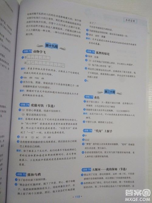 2018新版小学生语文分级阅读训练3年级通用版参考答案 