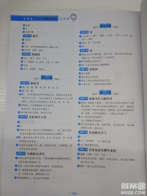 2018新版分级阅读训练小学生语文2年级通用版答案