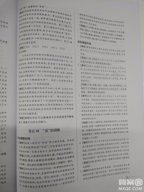 名校冲刺小升初衔接教材2018新版语文总复习答案