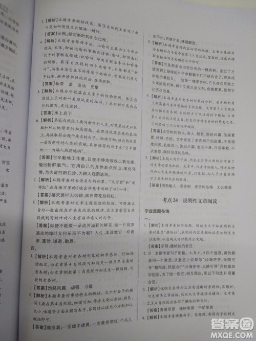 名校冲刺小升初衔接教材2018新版语文总复习答案