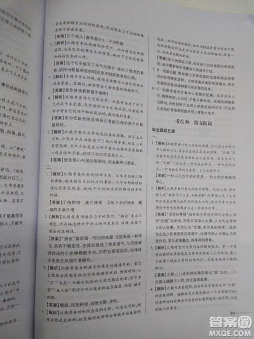 名校冲刺小升初衔接教材2018新版语文总复习答案