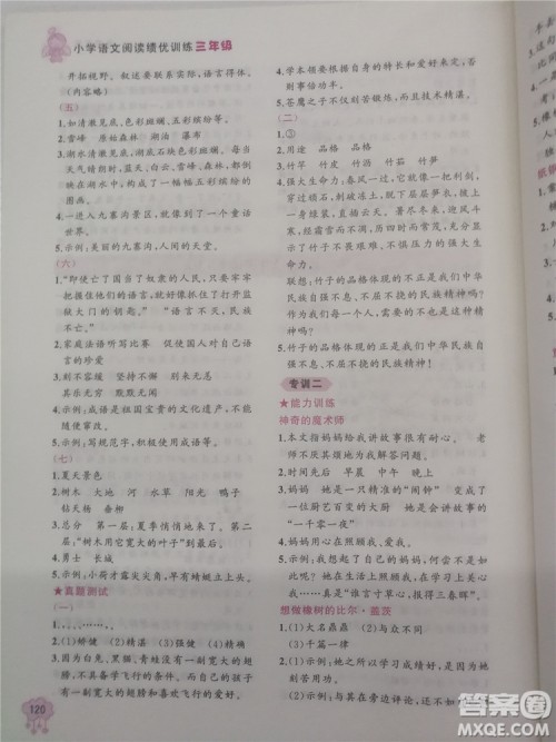 2018年小学语文阅读绩优训练3年级参考答案 2018年小学语文阅读绩优训练3年级参考答案