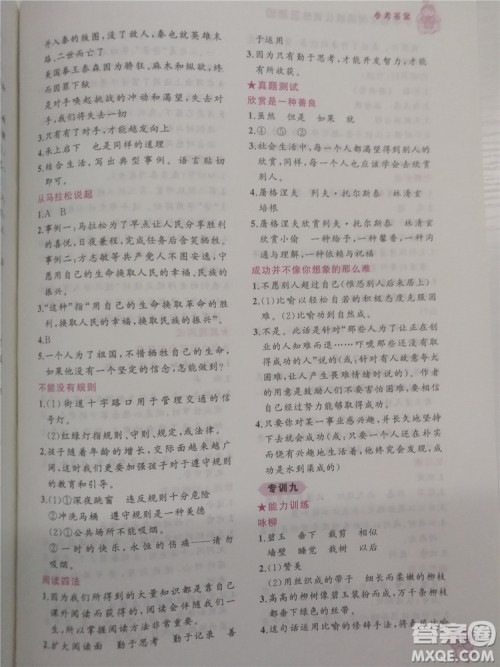 2018年小学语文阅读绩优训练3年级参考答案