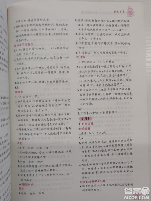 2018年老蔡帮小学语文阅读绩优训练四年级参考答案 2018年老蔡帮小学语文阅读绩优训练四年级参考答案