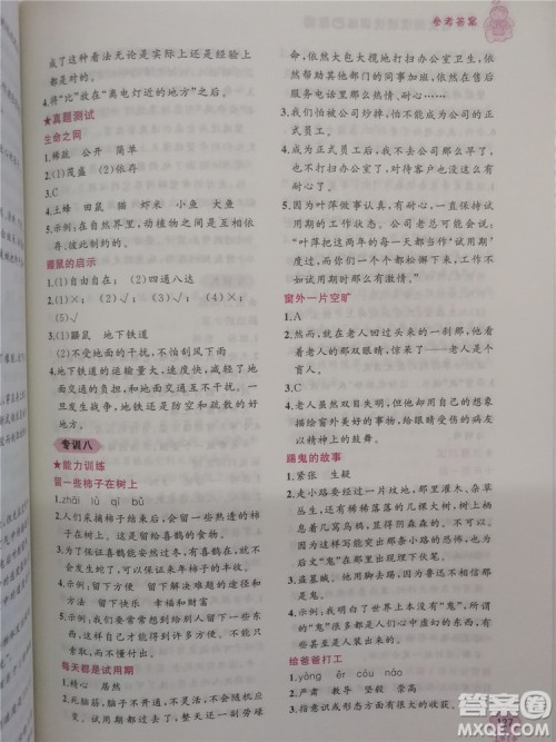 2018年老蔡帮小学语文阅读绩优训练四年级参考答案 2018年老蔡帮小学语文阅读绩优训练四年级参考答案