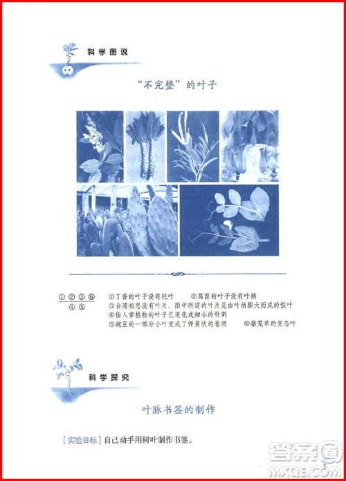 2018年三年级全一册亲近母语亲近科学参考答案 2018年三年级全一册亲近母语亲近科学参考答案