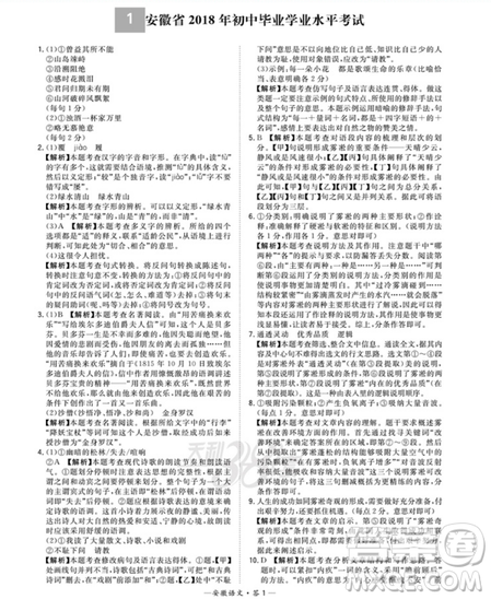 天利38套2019版中考试题精选语文安徽省专版参考答案