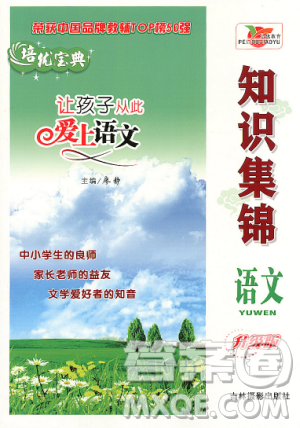 2018升级版培优宝典知识集锦语文答案