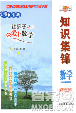 知识集锦数学升级版2018培优宝典答案
