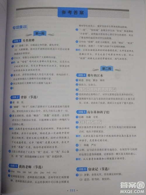 分级阅读训练小学生语文5年级2018新版答案 分级阅读训练小学生语文5年级2018新版答案