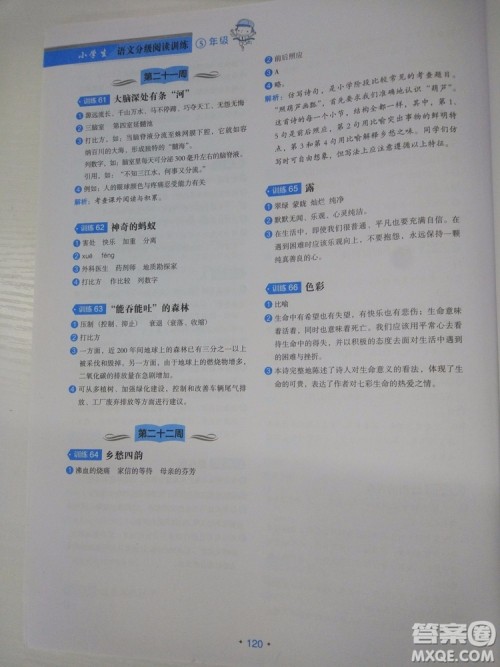 分级阅读训练小学生语文5年级2018新版答案 分级阅读训练小学生语文5年级2018新版答案