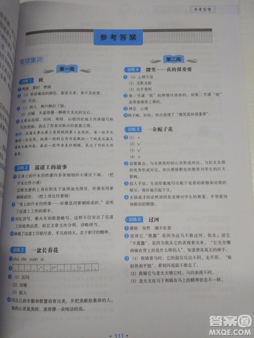 2018小学生语文分级阅读训练6年级参考答案