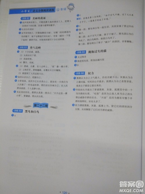 2018小学生语文分级阅读训练6年级参考答案