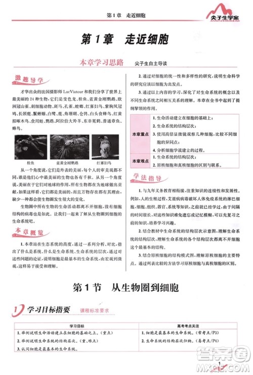 尖子生学案生物必修1新课标人教版2019参考答案