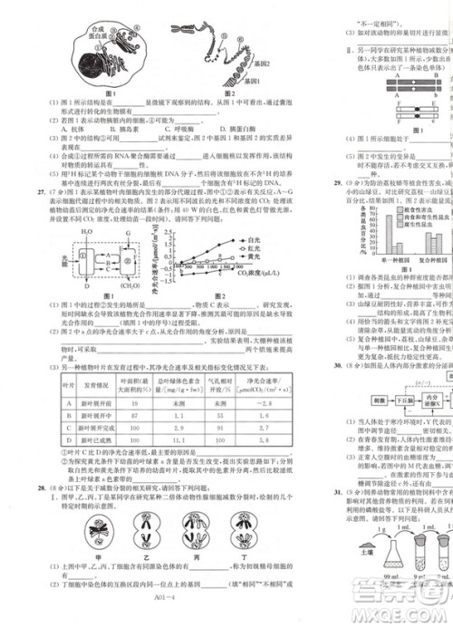 恩波教育2019新版江苏高考模拟试卷汇编优化28+2套生物答案 恩波教育2019新版江苏高考模拟试卷汇编优化28+2套生物答案