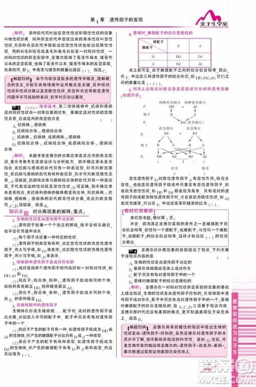 吉林人民出版社2019尖子生学案新课标人教版生物必修2参考答案