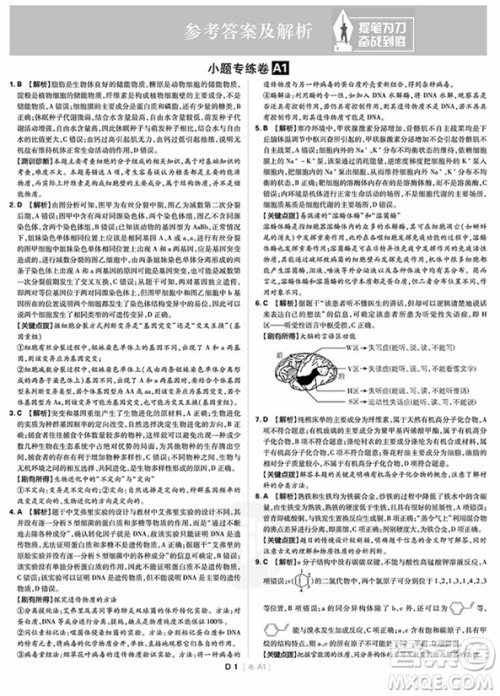 理想树2019高考必刷卷题型小卷21套理科综合参考答案