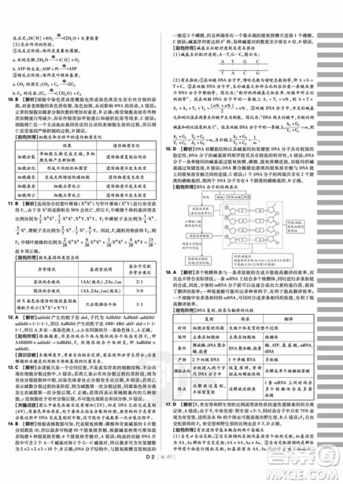 理想树高考必刷卷小卷21套生物2018参考答案