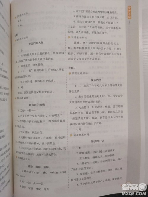 2018年新课标小学生语文阅读与写作高效训练五年级通用版参考答案 2018年新课标小学生语文阅读与写作高效训练五年级通用版参考答案