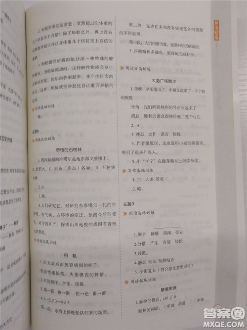 2018年新课标小学生语文阅读与写作高效训练五年级通用版参考答案 2018年新课标小学生语文阅读与写作高效训练五年级通用版参考答案